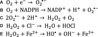 ANNA Genetic Code Expansion: Recent Developments and Emerging